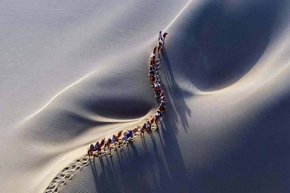 <span class="entry-title-primary">Gabardin</span> <span class="entry-subtitle">Szabó Palócz Attila irkafirkája Kiss Anna fragmentumára</span>