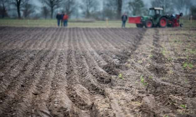 <span class="entry-title-primary">Csökken a hozam, fogy a termelő Vajdaságban</span> <span class="entry-subtitle">Családi Kör (2019. február 7.)</span>
