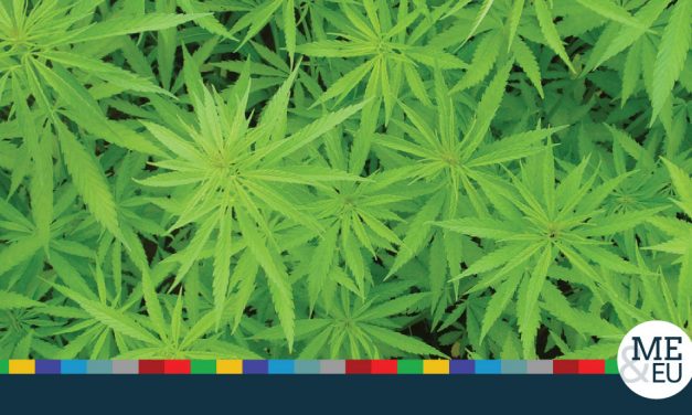 „Az Európai Uniónak ösztönöznie kell az orvosi kannabisz használatát”
