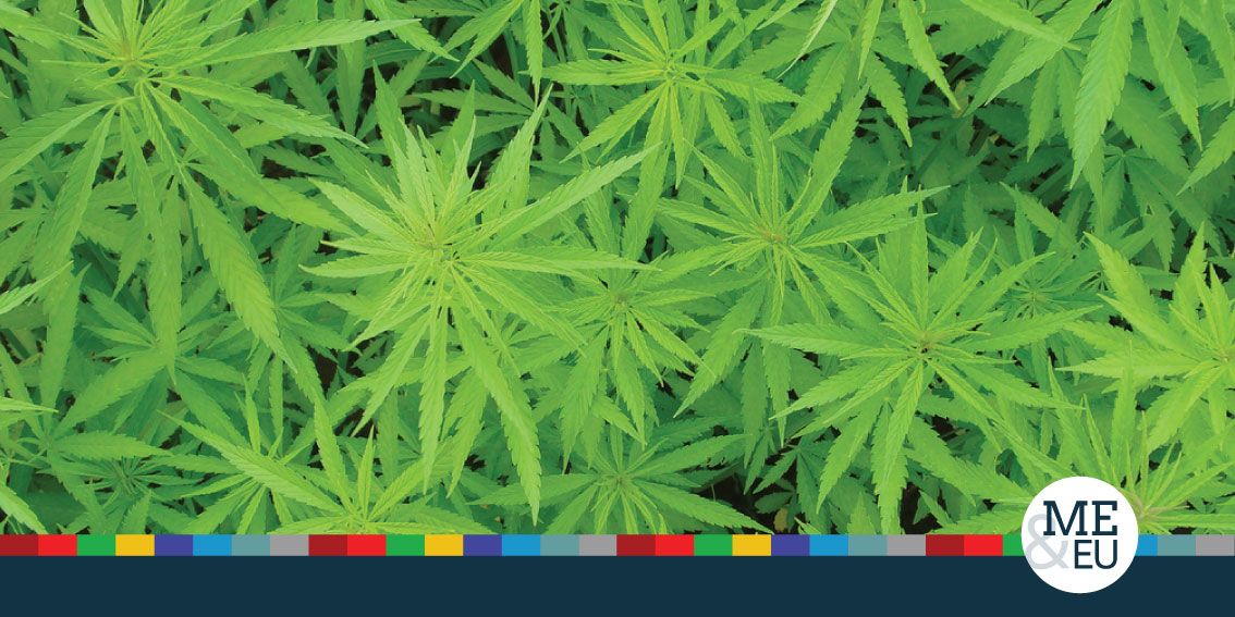 „Az Európai Uniónak ösztönöznie kell az orvosi kannabisz használatát”