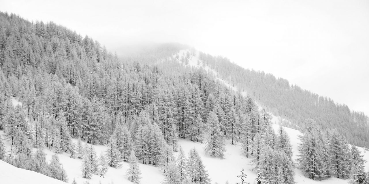 <span class="entry-title-primary">Aki nem tud beszélni</span> <span class="entry-subtitle">Nagy Vendel verse</span>