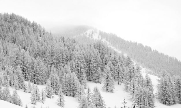 <span class="entry-title-primary">Aki nem tud beszélni</span> <span class="entry-subtitle">Nagy Vendel verse</span>