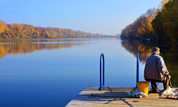 Vajdaság Vizei: 140 kilométeren van árvízvédelmi készültség