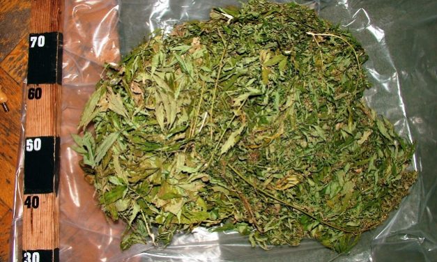 Szegedi parkolóban vették át a Szerbiából hozott marihuánát