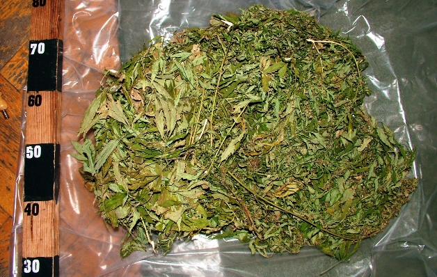 Szegedi parkolóban vették át a Szerbiából hozott marihuánát