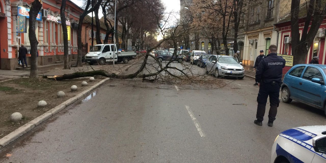 Zentán félbertört egy fát a szél a központban, Újvidéken a kidőlt kerítés autókat rongált meg