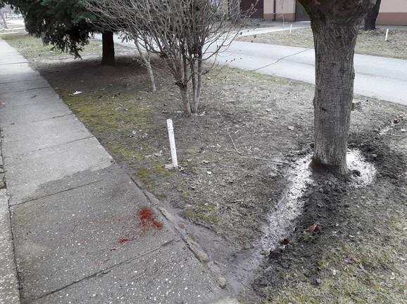 Gyilkosság Szabadkán: A háza előtt ölték meg a gyerekét egyedül nevelő nőt