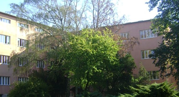 Leesett a lóról, súlyos gerincsérüléseket szenvedett egy 14 éves lány Šabacon