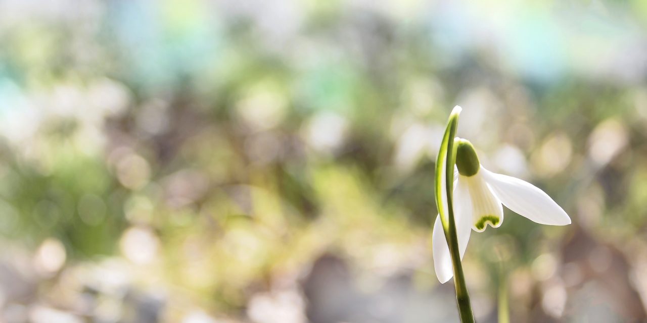 Meleg lesz a hétvégén