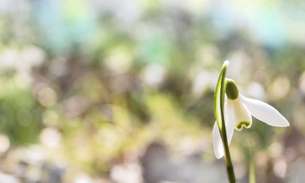 Meleg lesz a hétvégén