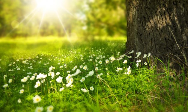 Csütörtökig meleg lesz, de esni fog