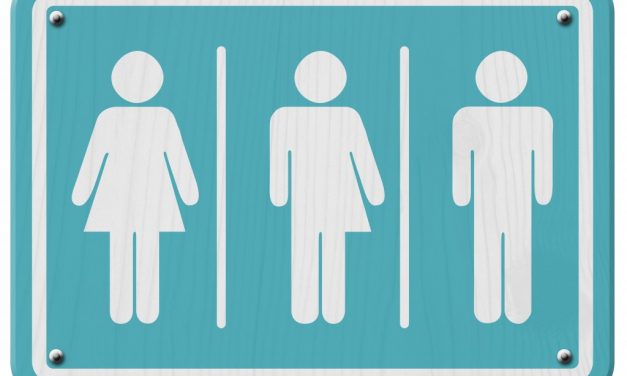 Több nagyobb légitársaság is tervezi a harmadik nem bevezetését a jegyfoglalásnál