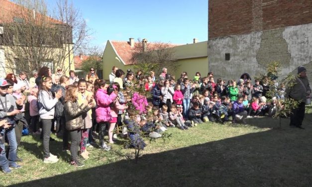 Tudománypark épül Magyarkanizsán