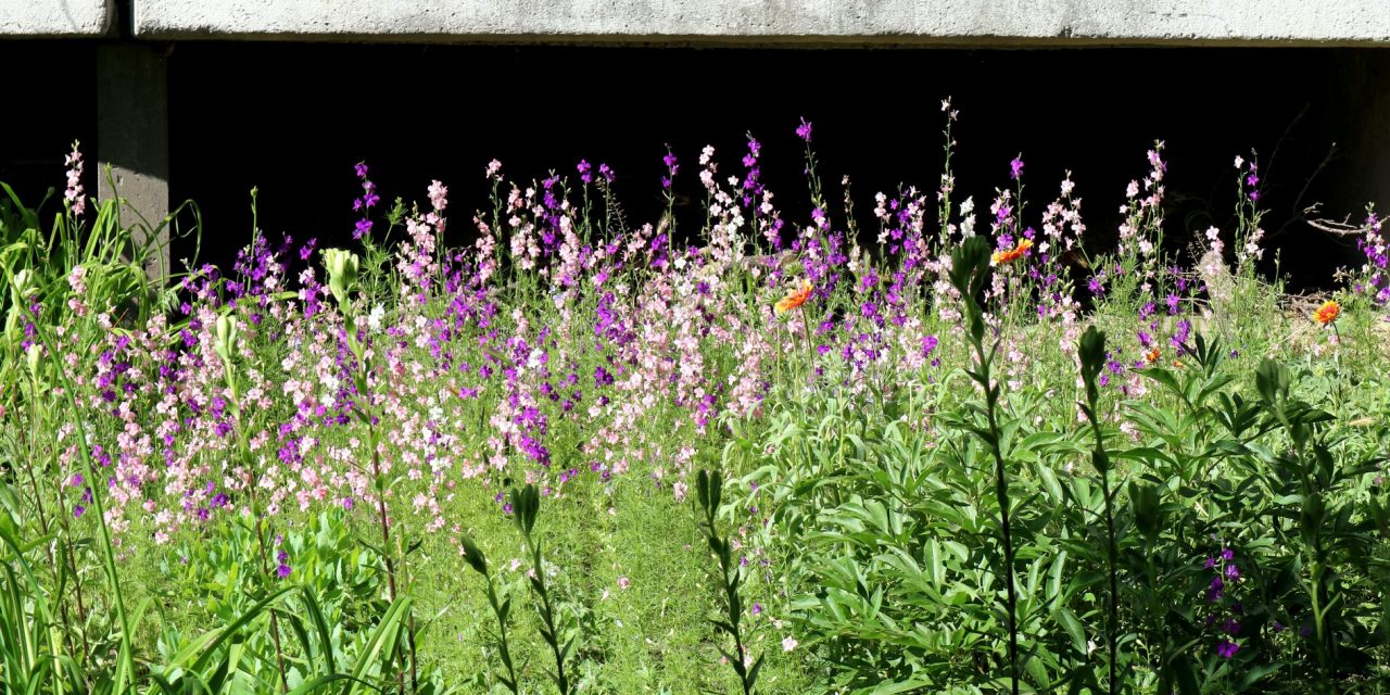 <span class="entry-title-primary">XLVII. szonett</span> <span class="entry-subtitle">William Shakespeare költeménye</span>