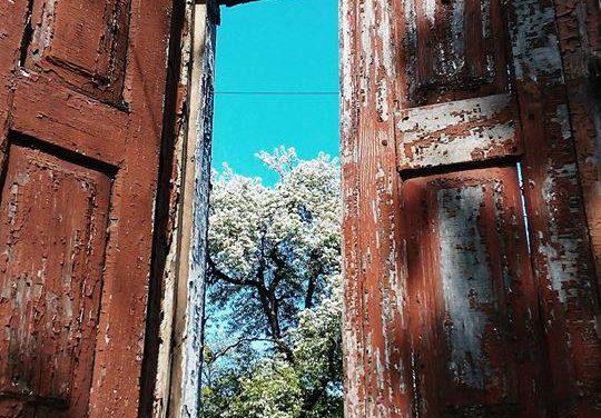 <span class="entry-title-primary">Szabad a gazda</span> <span class="entry-subtitle">Müller Péter Sziámi verse (VIDEÓVAL!)</span>