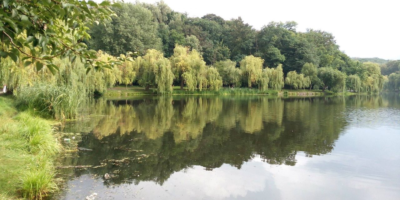 <span class="entry-title-primary">A Tolnai Ottó Prózák könyve című kötetének címlapjáról készült fénymásolat</span> <span class="entry-subtitle">Szabó Palócz Attila vizuális költeménye</span>