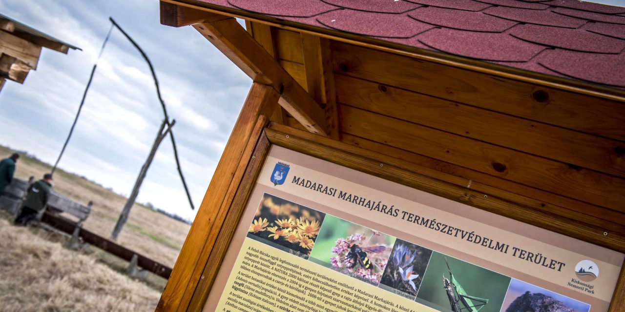 <span class="entry-title-primary">Magyarország sztyeppéje védettséget kapott a határnál</span> <span class="entry-subtitle">A Madarasi Marhajárás természetvédelmi terület lett</span>