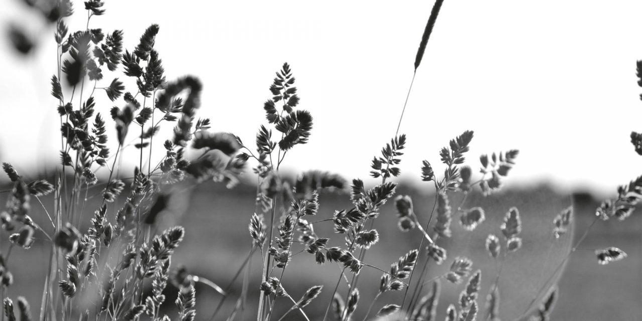 <span class="entry-title-primary">Hova mentek?</span> <span class="entry-subtitle">Kováts Antal verse</span>