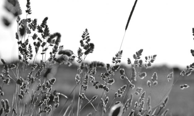 <span class="entry-title-primary">Hova mentek?</span> <span class="entry-subtitle">Kováts Antal verse</span>