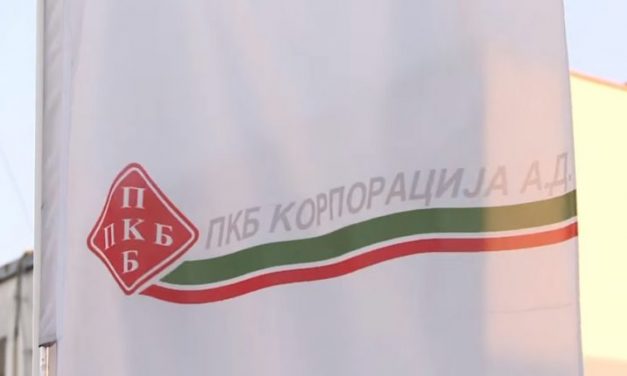 Egymást zabálják fel a disznók