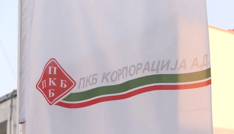 Egymást zabálják fel a disznók