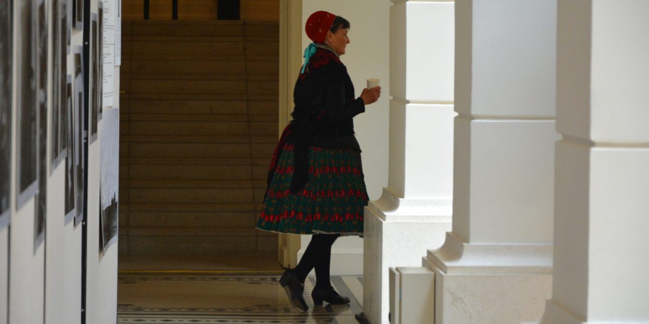 <span class="entry-title-primary">Vajdasági nap Budapesten</span> <span class="entry-subtitle">A vajalja volt a kakukktojás (Munkatársunk helyszíni riportja)</span>