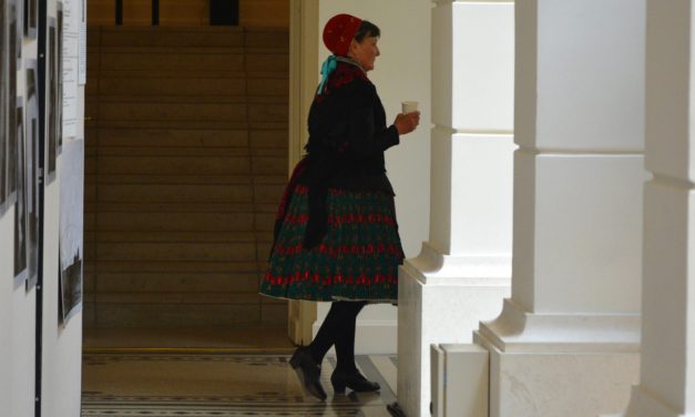 <span class="entry-title-primary">Vajdasági nap Budapesten</span> <span class="entry-subtitle">A vajalja volt a kakukktojás (Munkatársunk helyszíni riportja)</span>