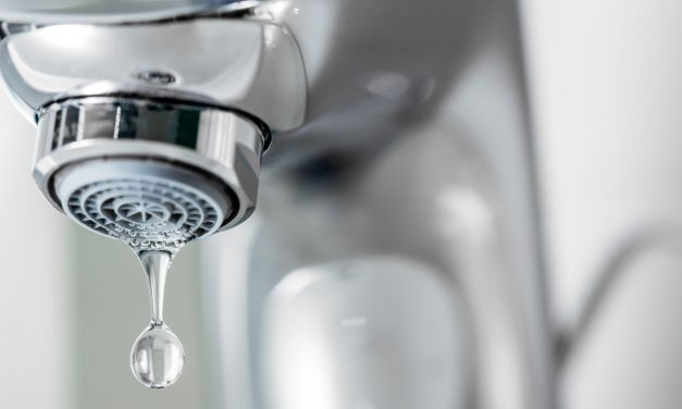 Hétfőn Újvidék egyes részei, valamint Veternik és Futak is víz nélkül marad