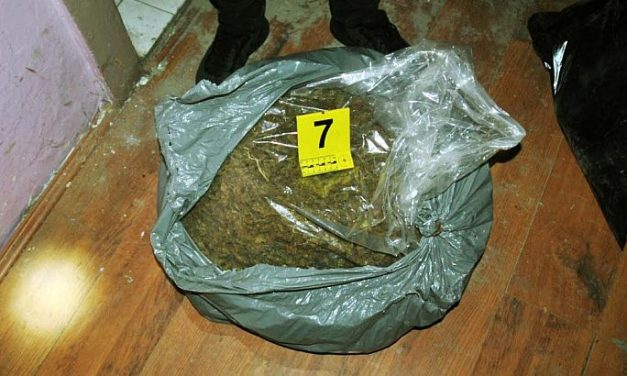 Huszonhét kiló marihuánát foglalt le az újvidéki rendőrség