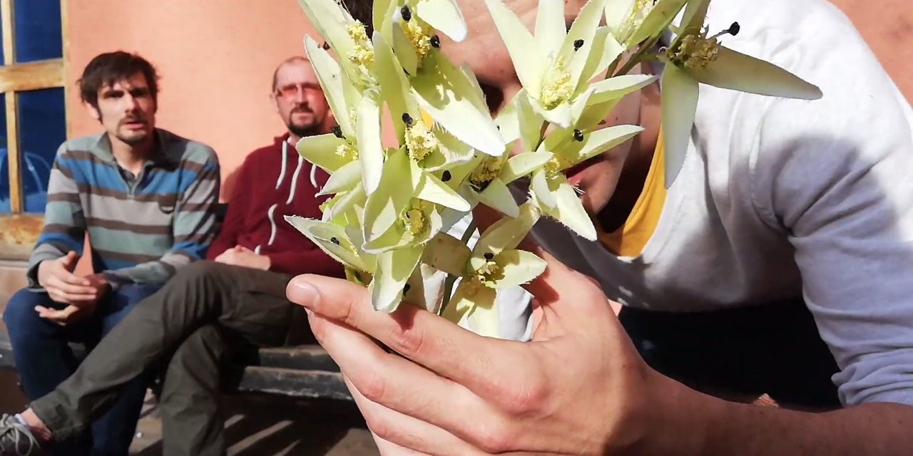 <span class="entry-title-primary">Nőnapi nézőművészet (Videóval)</span> <span class="entry-subtitle">Boldog nőnapot kívánnak a szabadkai Kosztolányi Dezső Színház művészei</span>