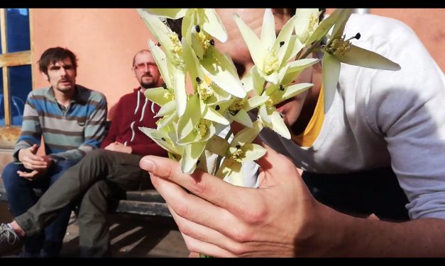 Nőnapi nézőművészet (Videóval)