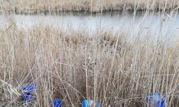 Verbász: Veszélyes hulladék a Nagy-Bácskai-csatornánál