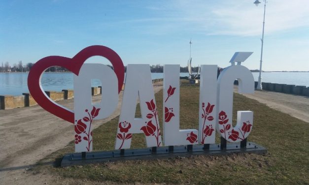 Új látványosság Palicson – Tulipános Palić felirat