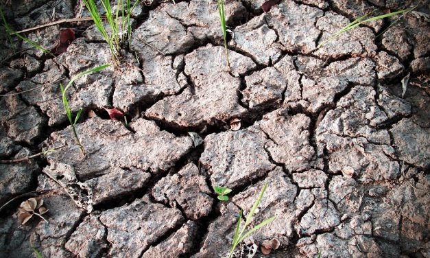 Jön az eső, de Vajdaságot megint elkerüli