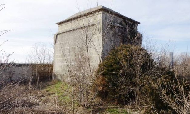 Munkaakció a bácskossuthfalvi zsidó temetőben