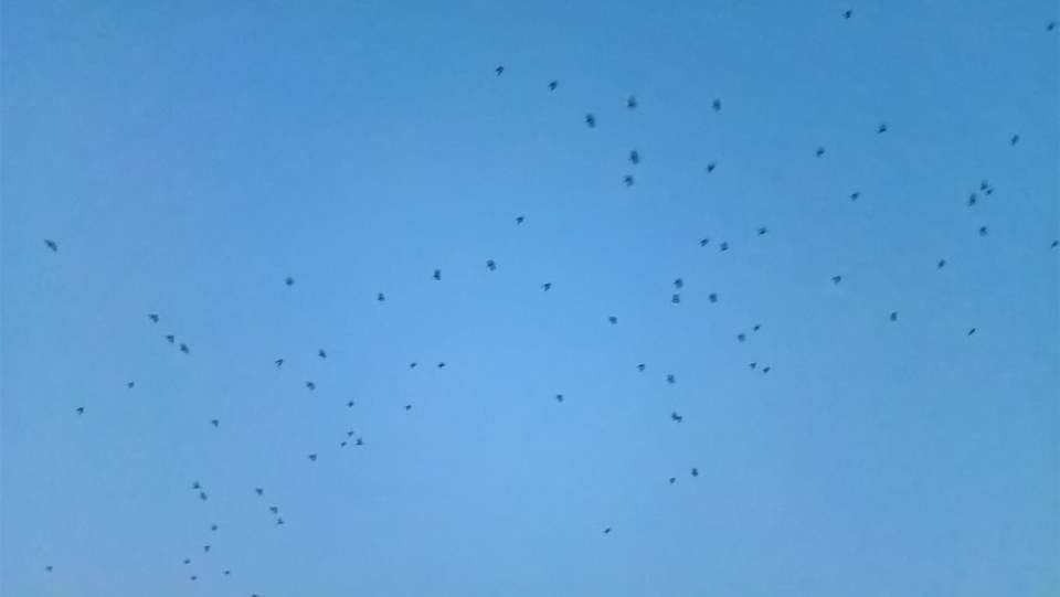 <span class="entry-title-primary">Az első szerelem</span> <span class="entry-subtitle">Berzsenyi Dániel költeménye</span>