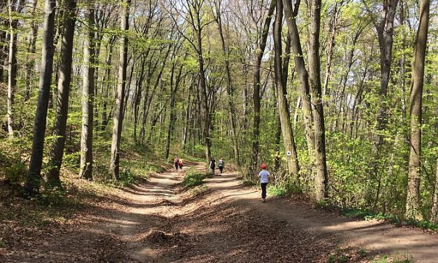 Fizetni kell, ha be akar lépni a Fruška gora Nemzeti Parkba