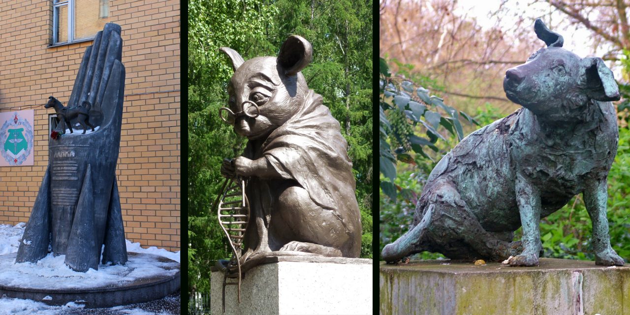 <span class="entry-title-primary">Névtelen hírességek</span> <span class="entry-subtitle">Negyven éve emlékezünk meg róluk</span>