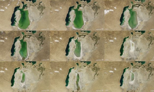 Hajóroncsok a sivatagban