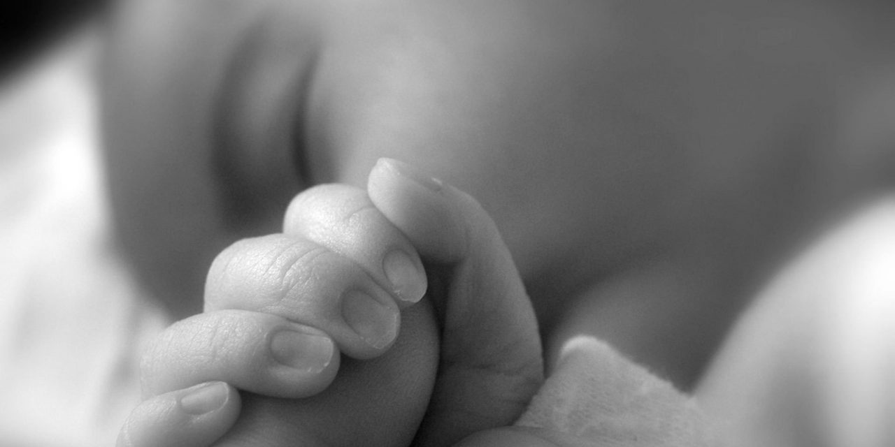 <span class="entry-title-primary">Topolya: anyák napi meglepetés</span> <span class="entry-subtitle">A 3+ Nagycsaládosok Egyesületének rajzpályázata</span>