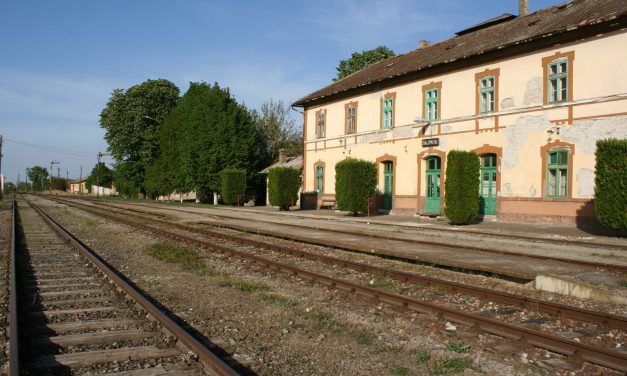 Mihajlović: Javasolni fogom, hogy svájci mintára minden személyvonatban legyen játszóház