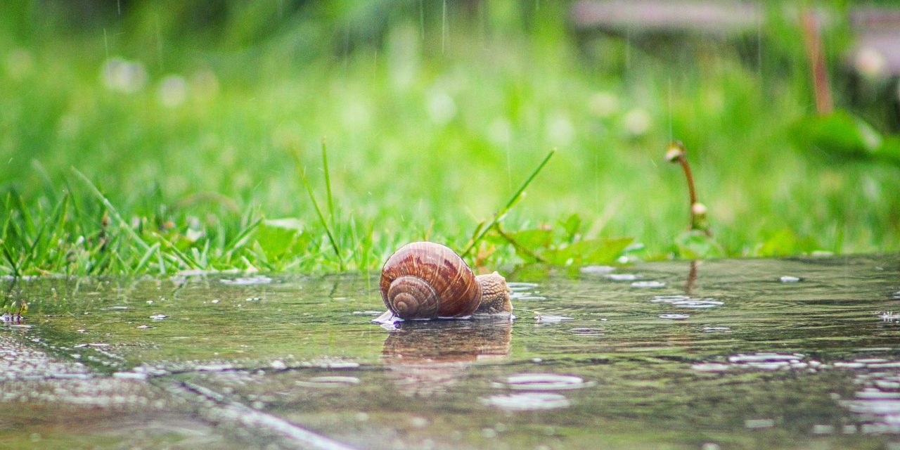 Nedimović: A csapadék mennyiségét illetően kedvezőbb a helyzet, mint amire számítottunk