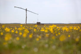 Máté Gábor volt a Magyar Tanszék vendége