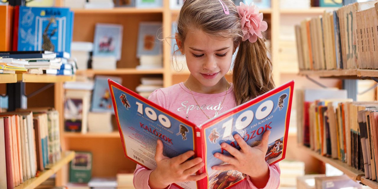 Zentai kislány fotója nyerte a Képeslap az iskolai könyvtárból pályázatot