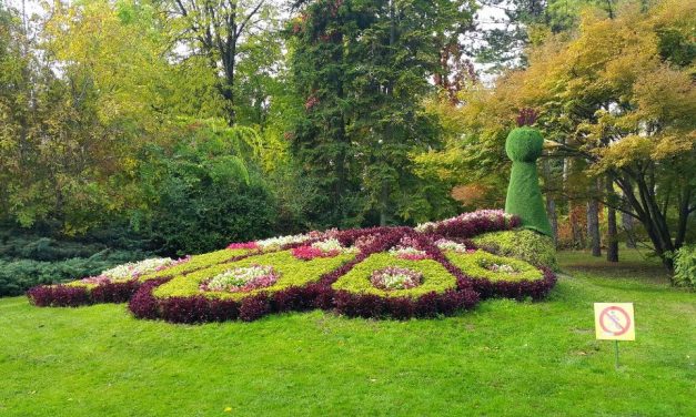 A hétvégén meghosszabbított munkaidővel várja a látogatókat a palicsi állatkert