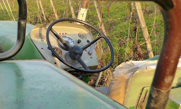 Közveszélyes traktoristákat zártak ki a forgalomból Szabadkán