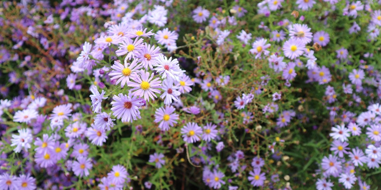 <span class="entry-title-primary">kitörölhetetlen</span> <span class="entry-subtitle">Nebojsza István verse</span>