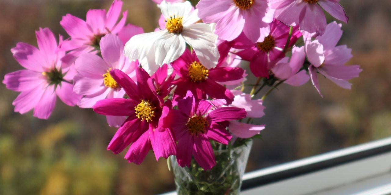 <span class="entry-title-primary">LVIII. szonett</span> <span class="entry-subtitle">William Shakespeare költeménye</span>