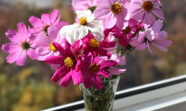 <span class="entry-title-primary">LVIII. szonett</span> <span class="entry-subtitle">William Shakespeare költeménye</span>