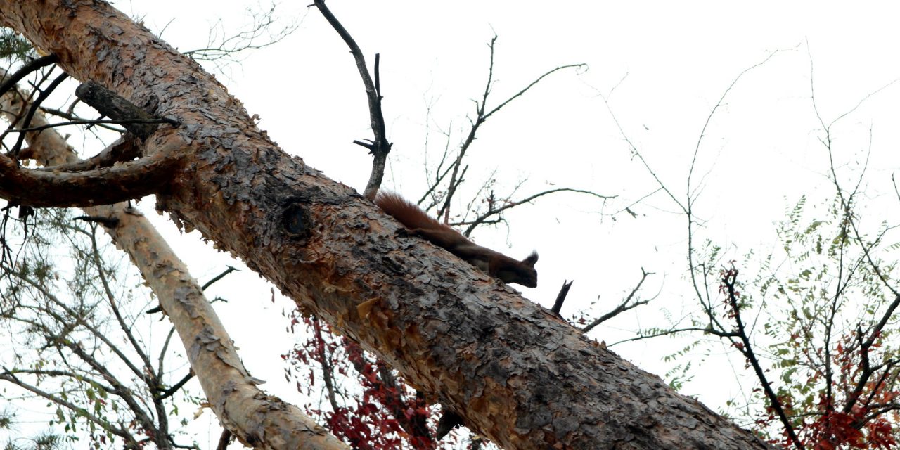 <span class="entry-title-primary">Etikett-minimum</span> <span class="entry-subtitle">Fodor Ákos verse</span>